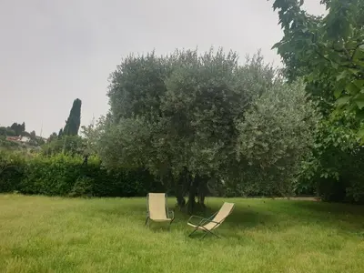 Giardino di The Quiet Room
