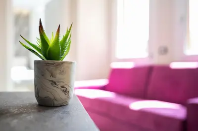 Area soggiorno di 5 Minuti Stazione Luxury Firenze - Modern & Stylish Apartment