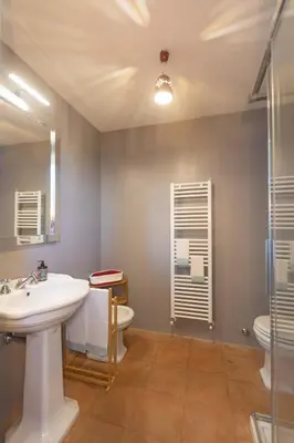 Bagno di Luminoso Fienile vista vigne