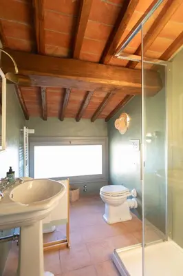 Bagno di Luminoso Fienile vista vigne