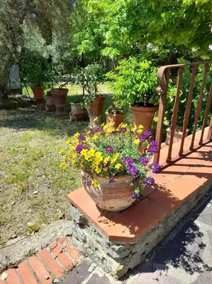 Giardino di Cozy barn in the green