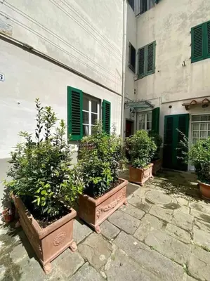 Giardino di Benvenuti nel paradiso in città