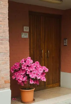 Planimetria di Careggi Apartment