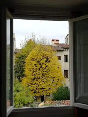 Giardino di Soggiorno Arcobaleno