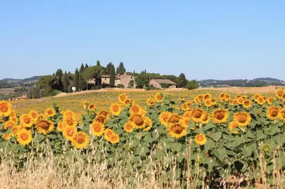 Paesaggio naturale nelle vicinanze del bed & breakfast