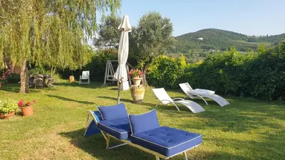 Paesaggio naturale nelle vicinanze della stanza in casa privata