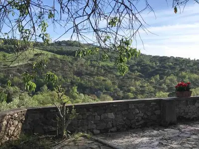 Paesaggio naturale nelle vicinanze della villa