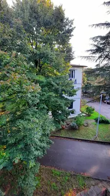 Giardino di Jolie's room