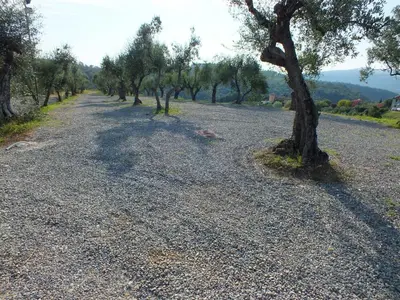 Paesaggio naturale nelle vicinanze dell'agriturismo