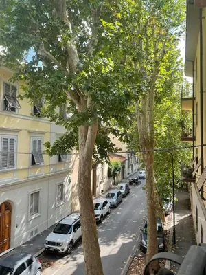 Il quartiere o una zona nella vicinanze dell'appartamento