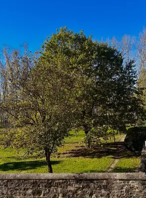 Giardino di Appartamento San Felice