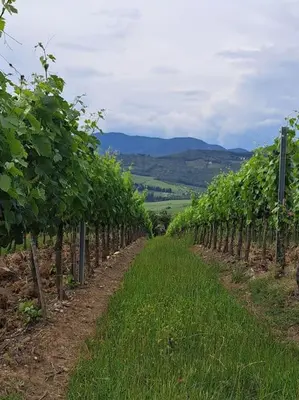 Paesaggio naturale nelle vicinanze dell'appartamento