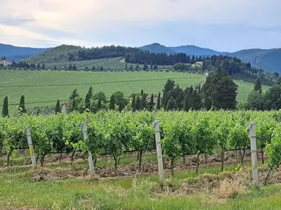 Paesaggio naturale nelle vicinanze dell'appartamento