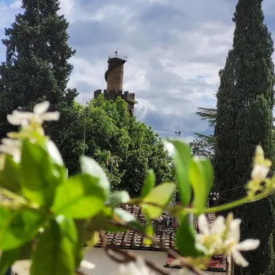 Giardino di Vista su giardini storici in Oltrarno