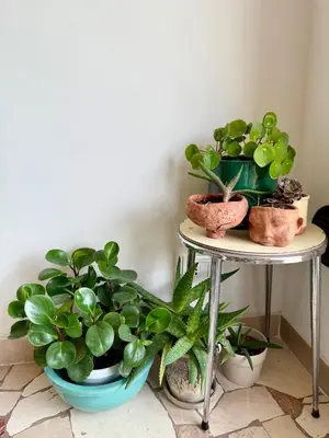 Planimetria di La casa di Margherita