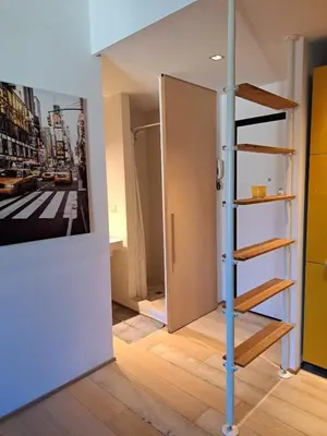 Planimetria di Lion's apartment