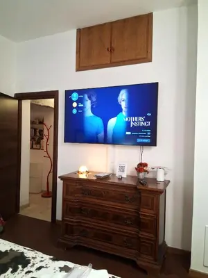TV o dispositivi per l'intrattenimento presso Milady Florence Apartment