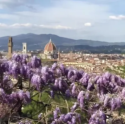 Vista generica sulle montagne o vista sulle montagne dall'interno dell'appartamento
