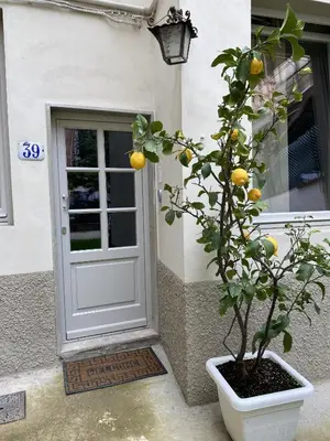 Planimetria di Pilati 39 PT