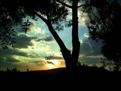 Alba o tramonto visti dall'interno dell'appartamento o dai dintorni
