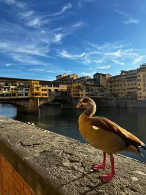 Paesaggio naturale nelle vicinanze dell'appartamento