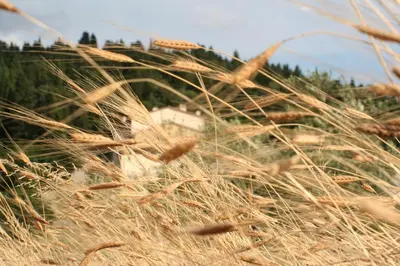 Paesaggio naturale nelle vicinanze dell'agriturismo
