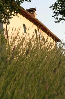 Edificio in cui si trova l'agriturismo