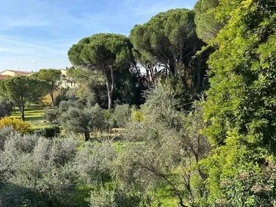 Paesaggio naturale nelle vicinanze dell'appartamento