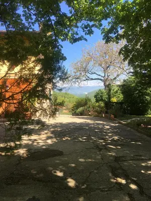 Planimetria di Polcanto i Castagni appartamento in casa colonica
