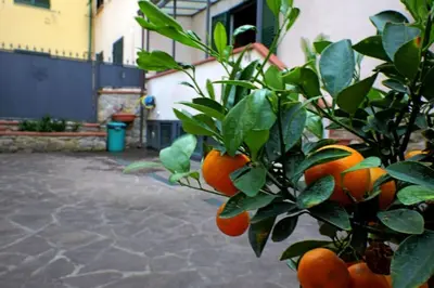 Planimetria di Casa Allegra Firenze