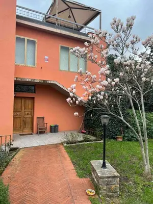 Giardino di Villa l'Ulivo, Hills of Florence - Viola Park