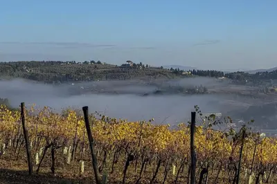 Paesaggio naturale nelle vicinanze dell'appartamento