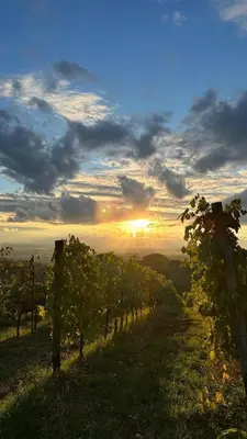 Paesaggio naturale nelle vicinanze della casa vacanze