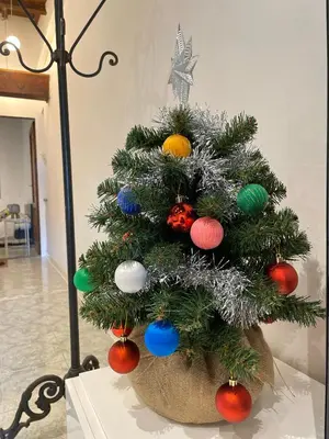 Planimetria di Michelangiolo Appartment