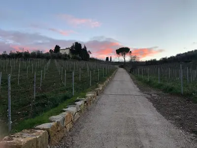 Paesaggio naturale nelle vicinanze della villa