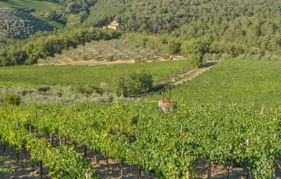 Paesaggio naturale nelle vicinanze dell'appartamento