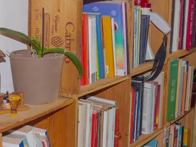 Biblioteca nell'appartamento