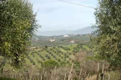 Paesaggio naturale nelle vicinanze dell'appartamento