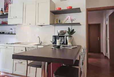 Cucina o angolo cottura di Apartments Florence Ponte Vecchio San Jacopo