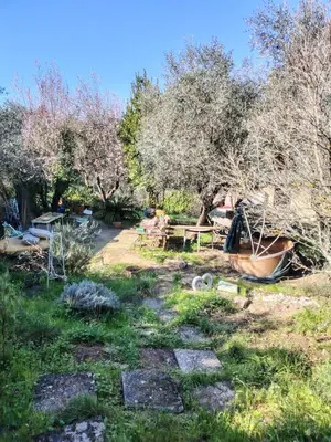 Giardino di Turisti nella natura in città d'arte