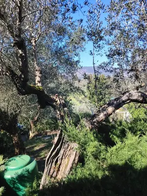 Paesaggio naturale nelle vicinanze dell'agriturismo