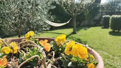 Giardino di Oasi di relax tra Firenze e colline del Chianti