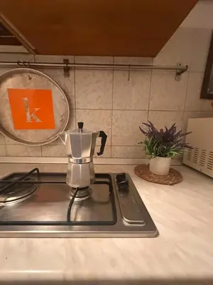 Cucina o angolo cottura di Apartment Flore