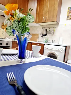 Cucina o angolo cottura di Wonderful Studio next to Florence City Center - Wifi & AC