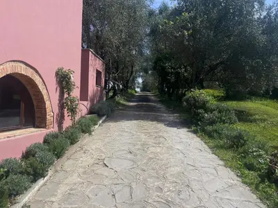Giardino di The Barn among olive trees