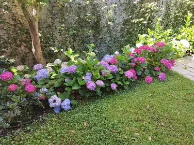 Giardino di Il Dondolo Blu