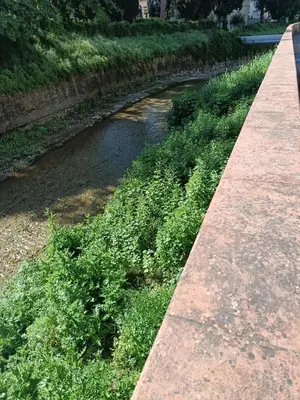 Paesaggio naturale nelle vicinanze dell'affittacamere