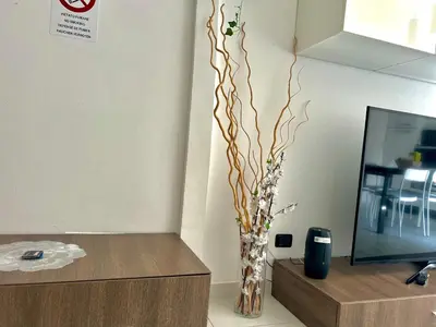 TV o dispositivi per l'intrattenimento presso Firenze zona stadio