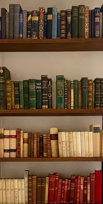 Biblioteca nell'appartamento