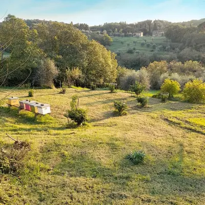 Paesaggio naturale nelle vicinanze dell'agriturismo